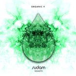 Artwork for "Organic V"