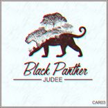 Artwork für "Black Panther (Main Mix)"