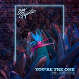 Artwork voor "You’re The One"