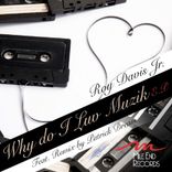 Artwork for "Why Do I Luv Muzik (Remixes)"