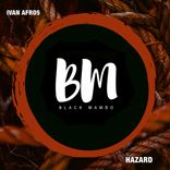 Artwork for "Hazard"