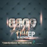 Artwork voor "8809 Afro Hits"