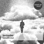 Portada para "Walking on a Cloud"