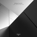 Artwork for "The Beginning"