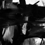 Artwork voor "Radiolaria"