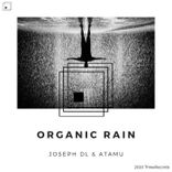 Artwork for "Organic Rain"