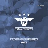 Portada para "Voice"