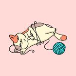 Portada para "Summer Mood / Sweet Sunset"