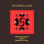 Artwork for "Bade Lami"