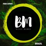 Artwork for "Brazil"