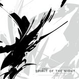 Artwork for "spirit of the night"
