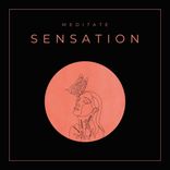 Artwork voor "Meditate Sensation"