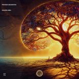 Artwork voor "Golden Wish"