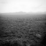 Trippy Road (Original Mix)