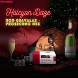 Artwork voor "Halcyon Daze - Bob Gravalax - Prosechno Mix"