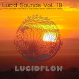 Artwork for "Lucid Sounds, Vol. 19 - A Fine and Deep Sonic Flow of Club House, Electro, Minimal and Techno"