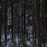 Artwork for "Back Down"