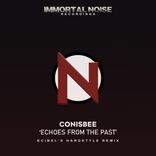 Artwork for "Echoes From The Past (Ecibel's Hardstyle Remix)"