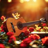 Afternoon Sun Through the Door Frame