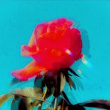 Artwork voor "Nothing Else To Claim"