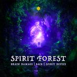 Artwork for "Spirit Forest"