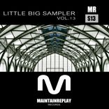 Artwork voor "Little Big Sampler, Vol. 13"