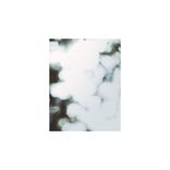 Portada para "Shutter"