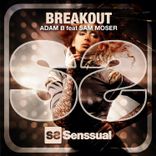 Artwork for "Breakout"