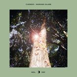 Artwork for "Narang Glaze"