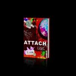 Artwork for "Attach"