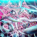 in search of chill danz