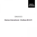 Artwork for "Endless M.I.E.F."