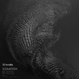 Artwork for "Metacycle"