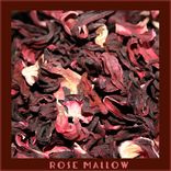 Artwork for "Rose Mallow"