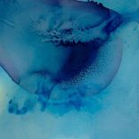 Artwork voor "Midnight Nectar"