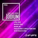 Portada para "Jodium"