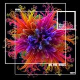 Artwork for "On the Wings"