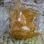 Artwork voor "Unissued Series, Pt. 3"