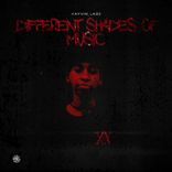 Artwork voor "DIFFERENT SHADES OF MUSIC"