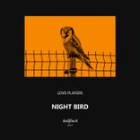 Artwork for "Night Bird"