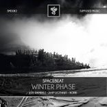 Artwork for "Winter Phase"