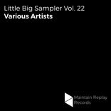 Artwork for "Little Big Sampler, Vol. 22"