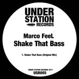 Artwork for "Shake That Bass"