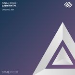 Artwork for "Labyrinth"