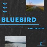 Artwork für "Bluebird"