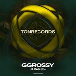 Artwork voor "Jungle"