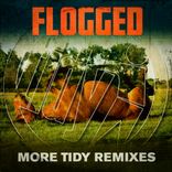 Portada para "Flogged"