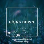 Portada para "Going Down (Igi Remix)"