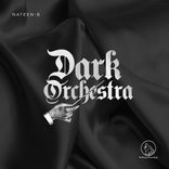 Artwork voor "Dark Orchestra"