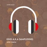 Portada para "Afro Temple"